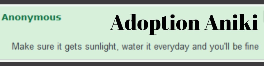 Adoption Aniki Banner.jpg