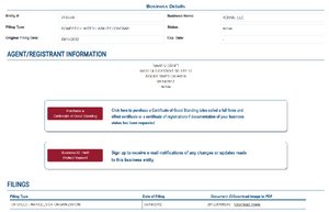 Businesssearch.ohiosos.gov-4chan llc.png