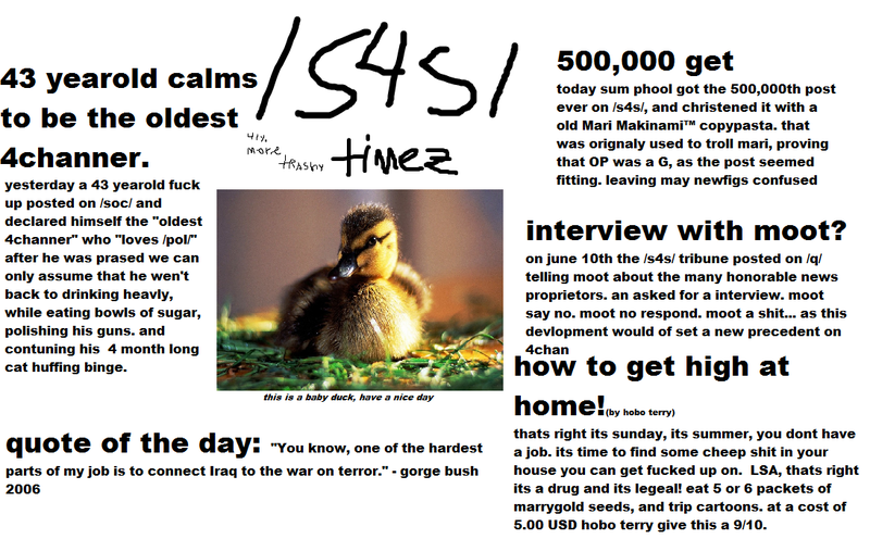 File:Duck issue.png