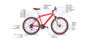 Bicycle diagram-en.svg.png