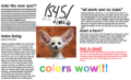 Cute fox issue.png
